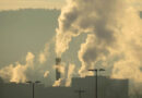 Steven Sadro Named Chair of the Department of Environmental Science and Policy