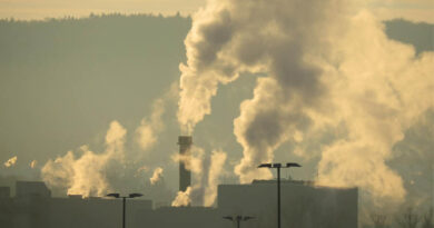 Steven Sadro Named Chair of the Department of Environmental Science and Policy