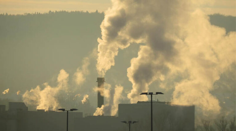 Steven Sadro Named Chair of the Department of Environmental Science and Policy