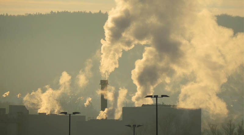 Steven Sadro Named Chair of the Department of Environmental Science and Policy