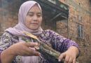Strengthening Sustainable Agriculture Across Southeast Asia Through Science, Partnerships And Innovation