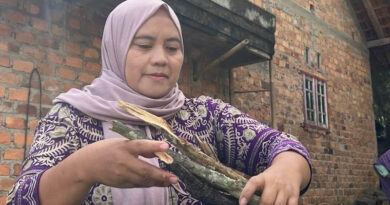 Strengthening Sustainable Agriculture Across Southeast Asia Through Science, Partnerships And Innovation Strengthening Sustainable Agriculture Across Southeast Asia Through Science, Partnerships And Innovation