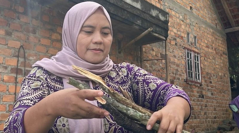Strengthening Sustainable Agriculture Across Southeast Asia Through Science, Partnerships And Innovation
