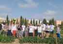 Summer School 2026: Handling The Complexity Of Organic Plant Breeding