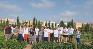 Summer School 2026: Handling The Complexity Of Organic Plant Breeding Summer School 2026: Handling The Complexity Of Organic Plant Breeding