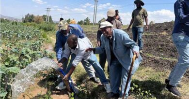 Sun-Powered Farming Ethiopian Farmers Save Thousands by Switching to Solar Irrigation