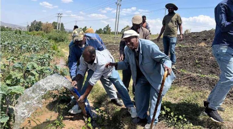 Sun-Powered Farming Ethiopian Farmers Save Thousands by Switching to Solar Irrigation