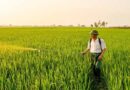 Support For Farmer Producer Organisation