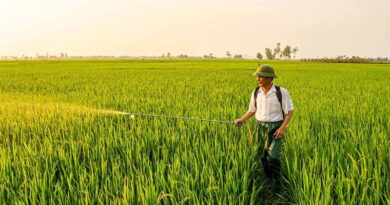 Support For Farmer Producer Organisation Support For Farmer Producer Organisation