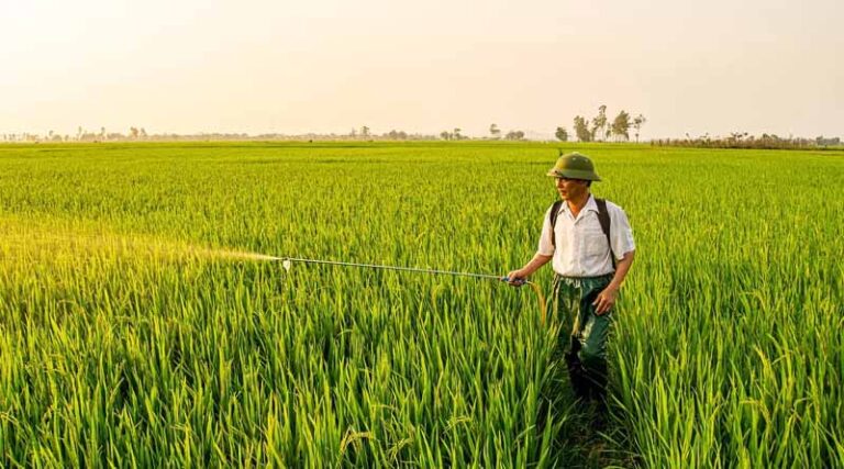 Support For Farmer Producer Organisation