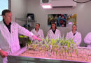 Syngenta Expands Australian Seedcare Institute to Advance Agricultural Biologicals