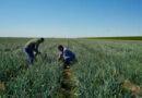 TFI Welcomes Senate Farm Bill Progress, Encourages Practical Fertilizer Transparency Policy