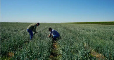 TFI Welcomes Senate Farm Bill Progress, Encourages Practical Fertilizer Transparency Policy TFI Welcomes Senate Farm Bill Progress, Encourages Practical Fertilizer Transparency Policy