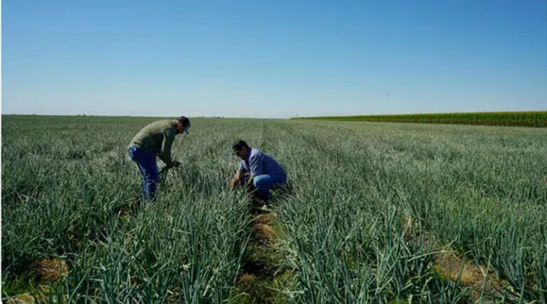 TFI Welcomes Senate Farm Bill Progress, Encourages Practical Fertilizer Transparency Policy