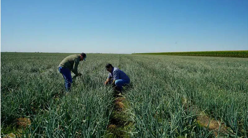 TFI Welcomes Senate Farm Bill Progress, Encourages Practical Fertilizer Transparency Policy