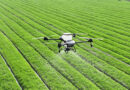 Top 10 Agrochemical and Pesticide Companies in India by Market Capitalisation