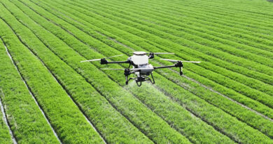 Top 10 Agrochemical and Pesticide Companies in India by Market Capitalisation