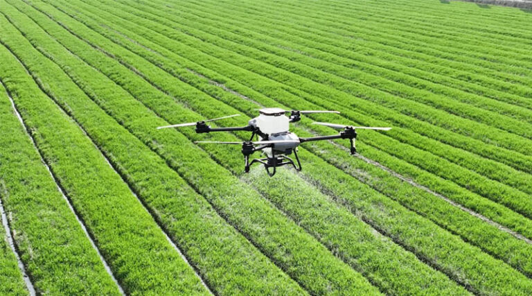 Top 10 Agrochemical and Pesticide Companies in India by Market Capitalisation