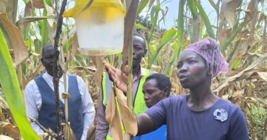 Transboundary Plant Pests and Diseases Transboundary Plant Pests and Diseases