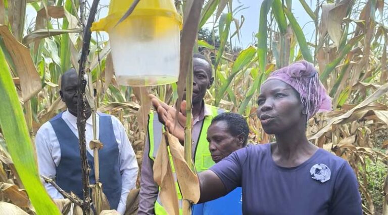Transboundary Plant Pests and Diseases