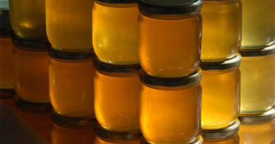 Tripura’s Dergang FPO Exports First Consignment of Mustard Honey to Dubai