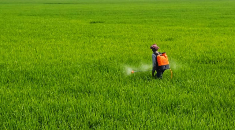 Paraquat and the Future of Pesticide Regulation in India