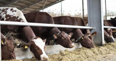 West Sussex Advances Smart Livestock Monitoring With Private 5G