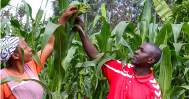 What to Expect as CGIAR Heads to AFS Forum 2026