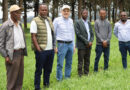 Wheat Science Without Borders African Breeders Strengthen Collaboration For Better Wheat