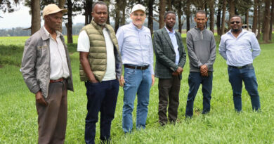 Wheat Science Without Borders African Breeders Strengthen Collaboration For Better Wheat