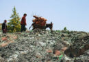 World Off-Track on Nearly Every Food System Goal, Latest Assessment Reveals