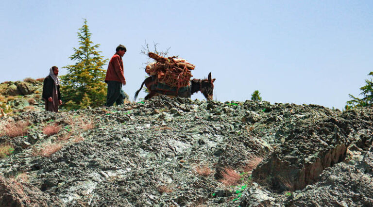 World Off-Track on Nearly Every Food System Goal, Latest Assessment Reveals