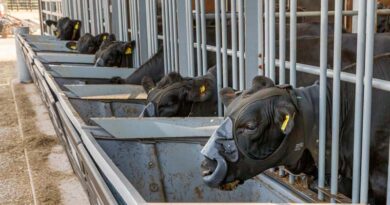 ZELP launches ZELP Sense™ to Enable Scalable, Real-World Measurement of livestock Methane Emissions ZELP launches ZELP Sense™ to Enable Scalable, Real-World Measurement of livestock Methane Emissions