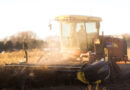 AI-Designed Protein Herbicides Target Resistant Weeds
