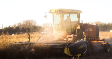 AI-Designed Protein Herbicides Target Resistant Weeds