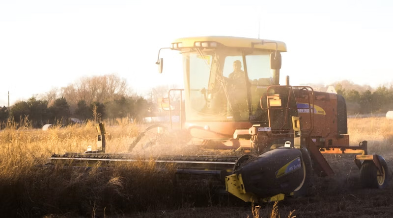 AI-Designed Protein Herbicides Target Resistant Weeds