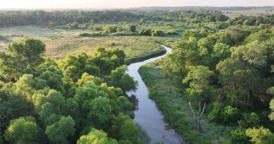 AgriCapture Partners with Google to Advance Water Stewardship in Texas