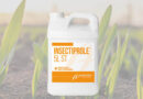 Albaugh Introduces Insectiprole™ 5L ST Seed Treatment to U.S. Market