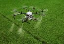 Argentina's SENASA Streamlines Pesticide Approvals for Minor Crops and Drone Application