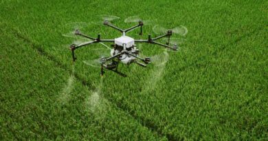 Argentina's SENASA Streamlines Pesticide Approvals for Minor Crops and Drone Application