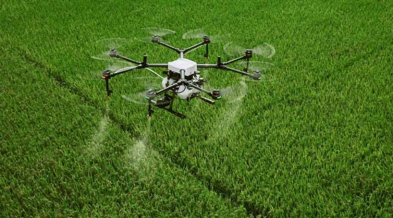 Argentina's SENASA Streamlines Pesticide Approvals for Minor Crops and Drone Application