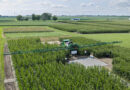 Bayer Advances Combined Seed And Crop Protection Pipeline And Enters Phase Of Blockbuster Launches