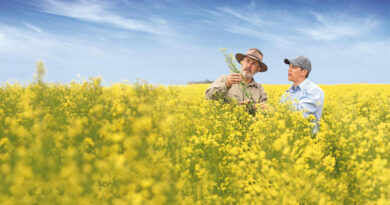 Bayer and Neste Partner to Scale Winter Canola as Biofuel Feedstock in the U.S.