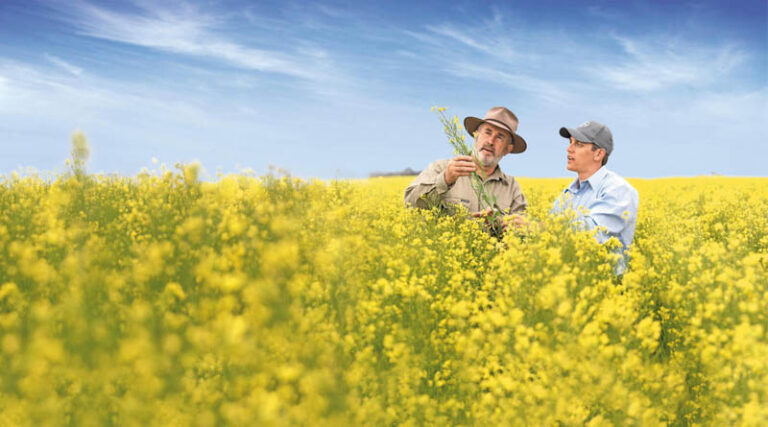 Bayer and Neste Partner to Scale Winter Canola as Biofuel Feedstock in the U.S.
