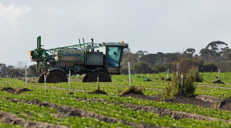 Brazilian Labor Court Suspends New Glyphosate Registrations for 90 Days