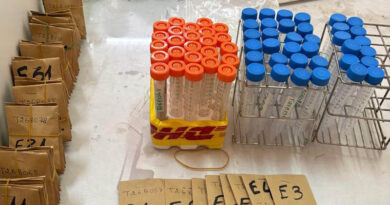 Building Grain and Flour Phenotyping Capacity at Kiboko (Kenya) and Thies (Senegal) A Journey in Progress
