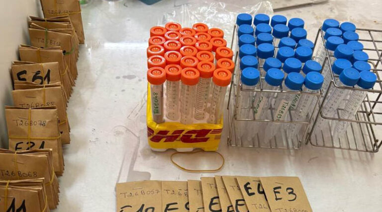 Building Grain and Flour Phenotyping Capacity at Kiboko (Kenya) and Thies (Senegal) A Journey in Progress
