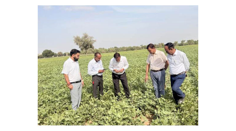 CAZRI Moth Bean Varieties Show Climate Resilience During El Niño Dry Spell