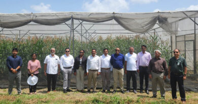 CIMMYT and APSA Forge New Opportunities For Advanced Innovations In Maize For The Asian Region