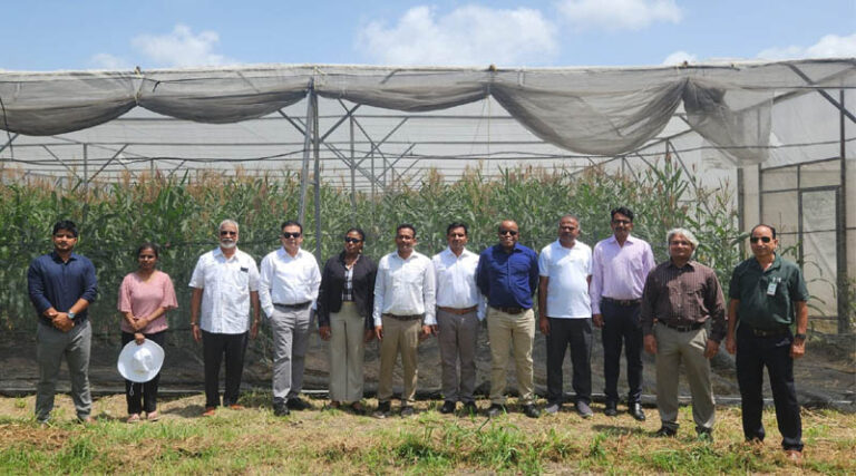 CIMMYT and APSA Forge New Opportunities For Advanced Innovations In Maize For The Asian Region